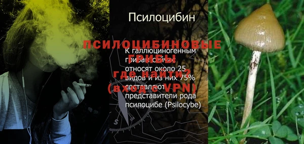 ГАЛЛЮЦИНОГЕННЫЕ ГРИБЫ Балабаново