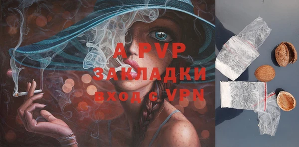 ГАЛЛЮЦИНОГЕННЫЕ ГРИБЫ Балабаново