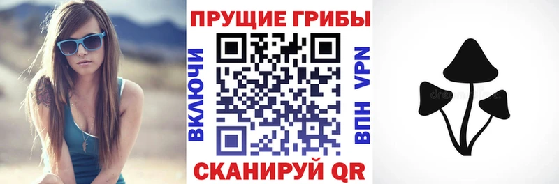 Галлюциногенные грибы мухоморы  KRAKEN маркетплейс  Ужур  даркнет сайт 